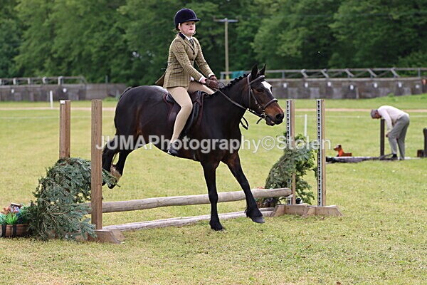 IMG_2464 - Working Hunter
