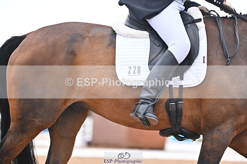 240815A-155402-02484 - 228-Nicola.Rapley-Scolari's.Glory