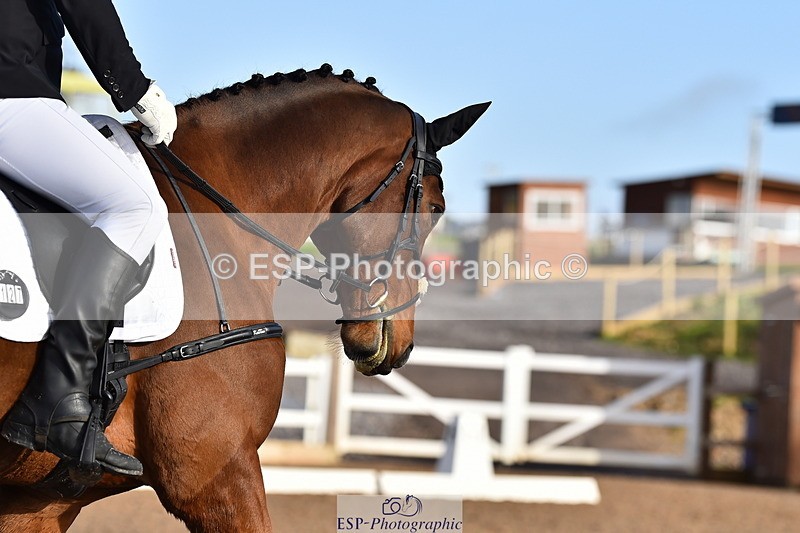 231104A-102446-01344 - Cls 2 Prelim 19