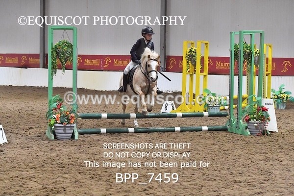 BPP_7459 - 40CM WORKING HUNTER