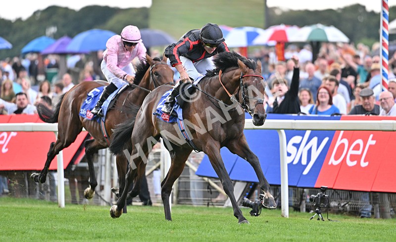 190826-079 Maltese Cross - Race 3 15.00pm Sky Bet Great Voltigeur Stakes