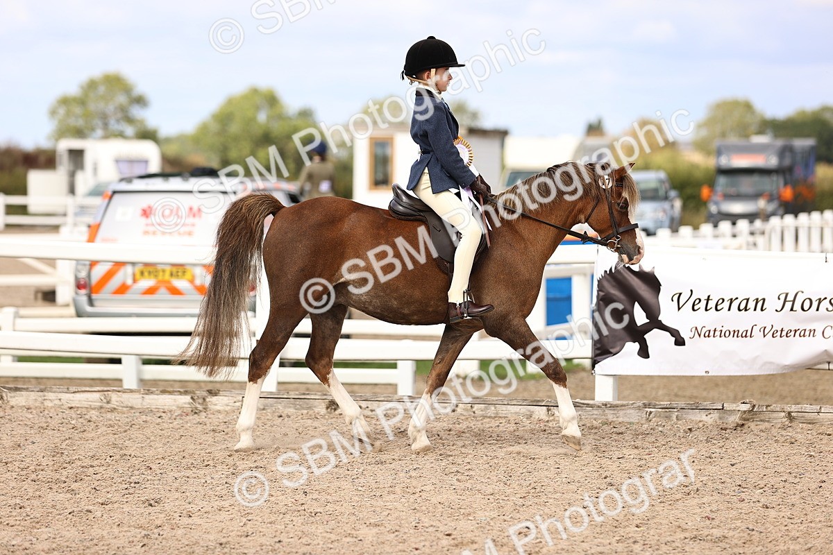 SBM_16117 - Class 419 - Best Maine and Tail - Jnr