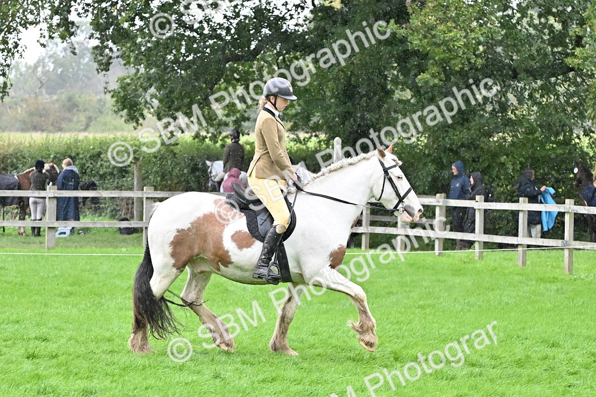 SBM_42973 - S12 - Family Horse & Pony