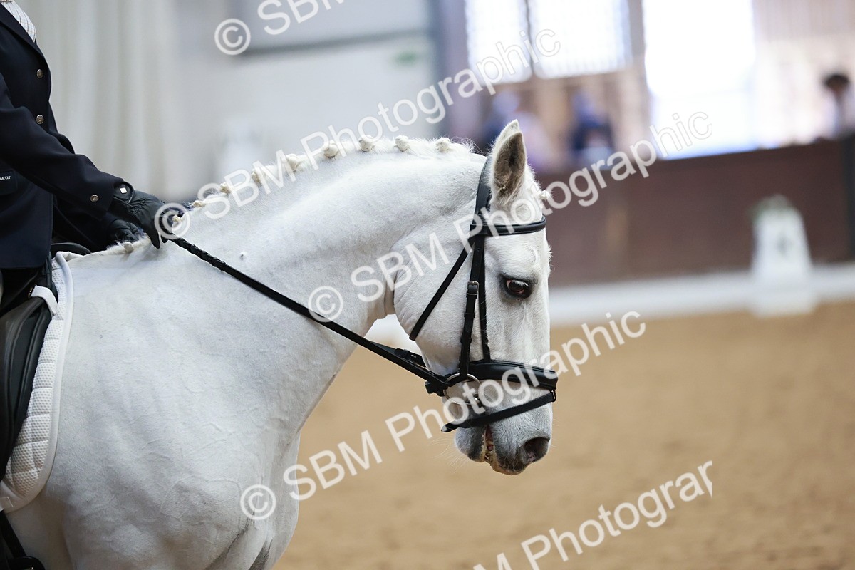 SBM_004036 - Class 2 - Novice 2020