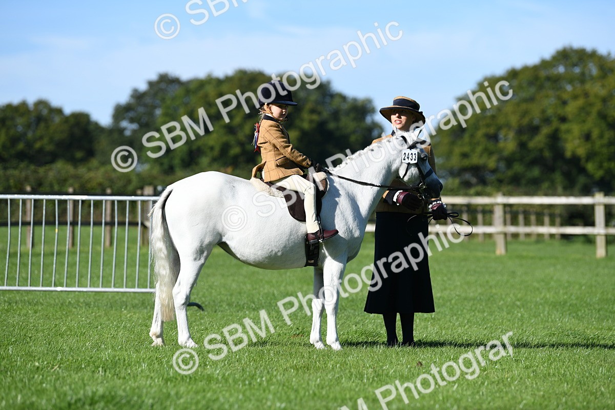 SBM_36799 - S18 - Novice & Newcomers Lead Rein Pony