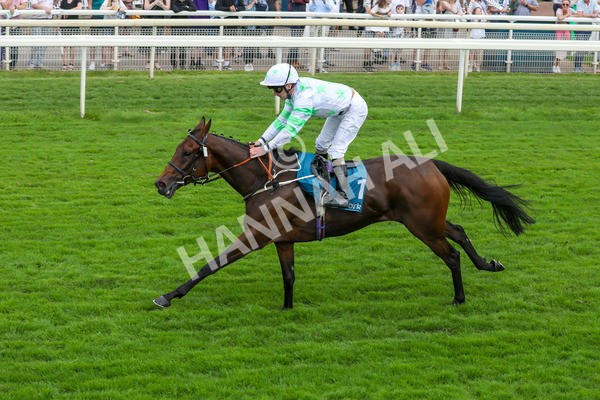 100923-Race 3-Yorkindness-3866 - Race 3 2.45pm Fine Details Vehicle Valeting Handicap