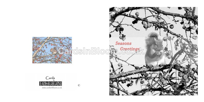 Christmas cards 2021 - Christmas cards