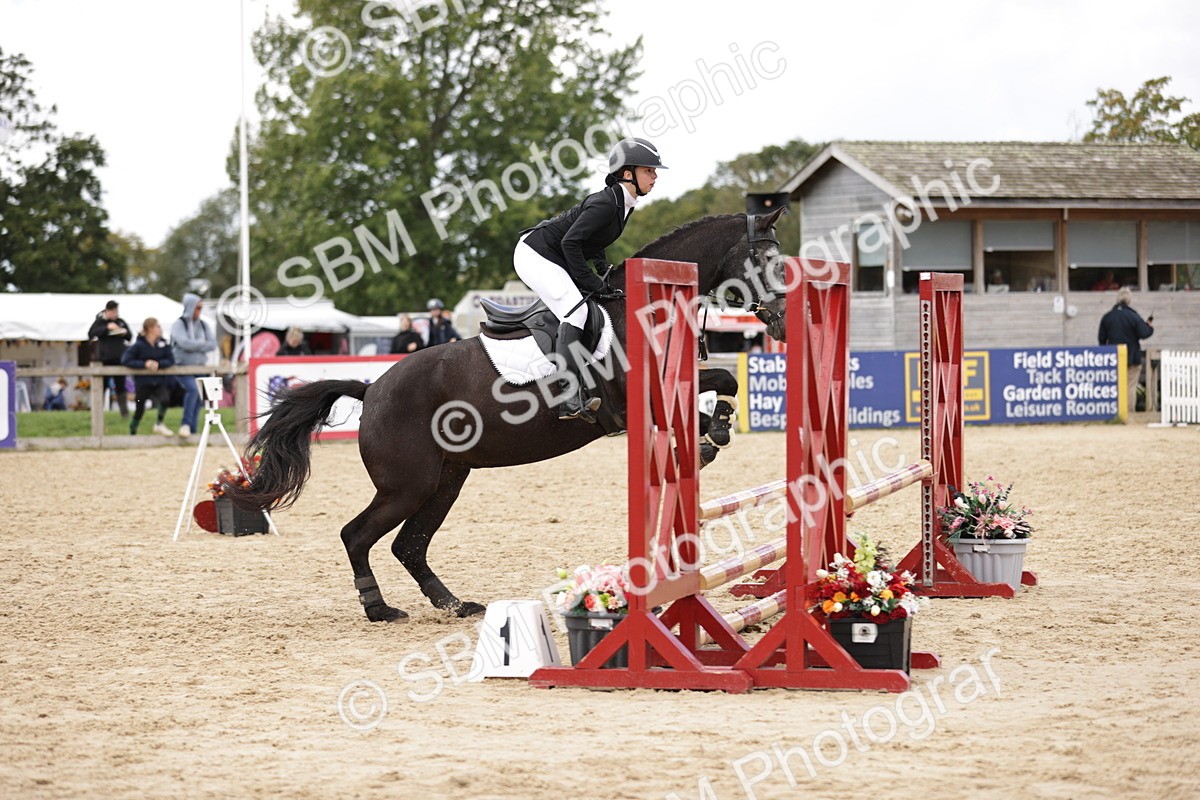 SBM_22362 - J59 - Clear Round 75cm