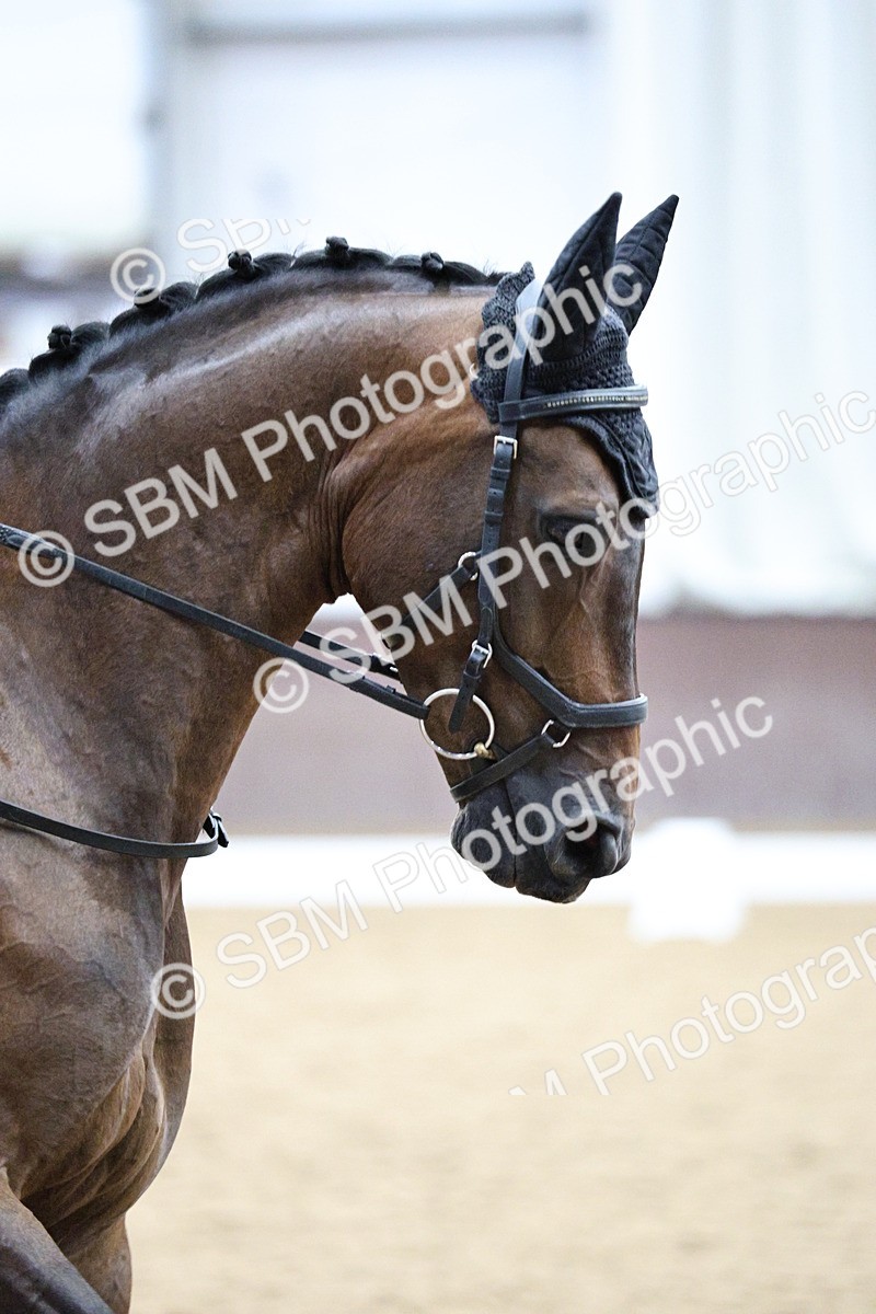 SBM_001152 - Class 5 - Novice 6