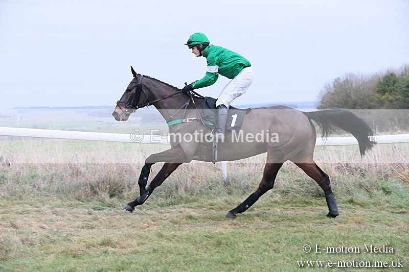 PtP 060119 302 - Larkhill Racing Club - Point-to-Point- 06/01/2019