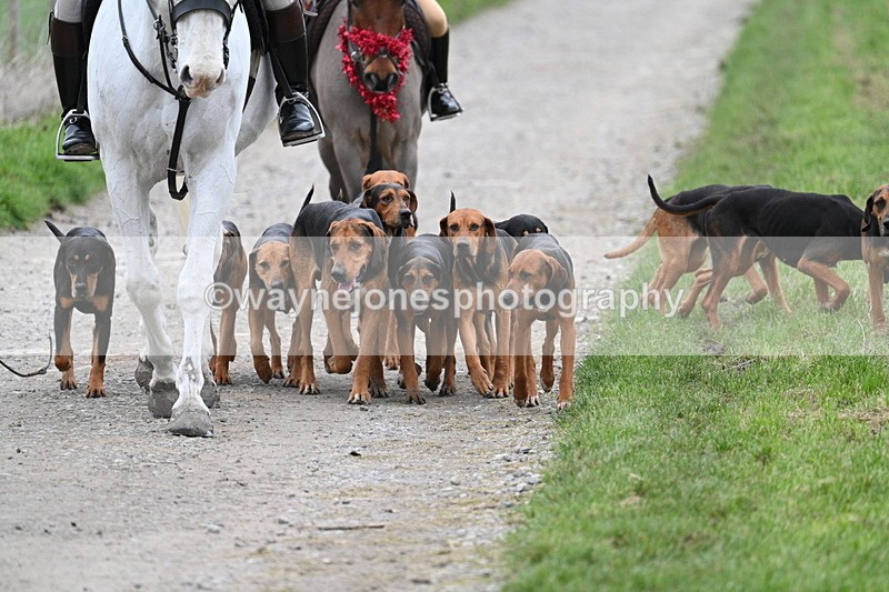 WJ7_1197 - Walk Home