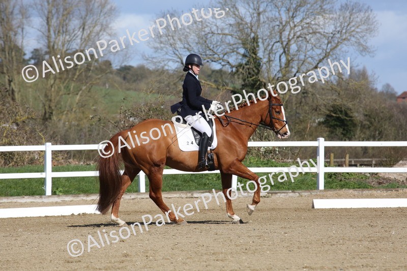 20260314-4133 - CT4 - Novice 1