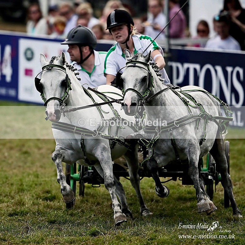 _LES4666a - Equestrian