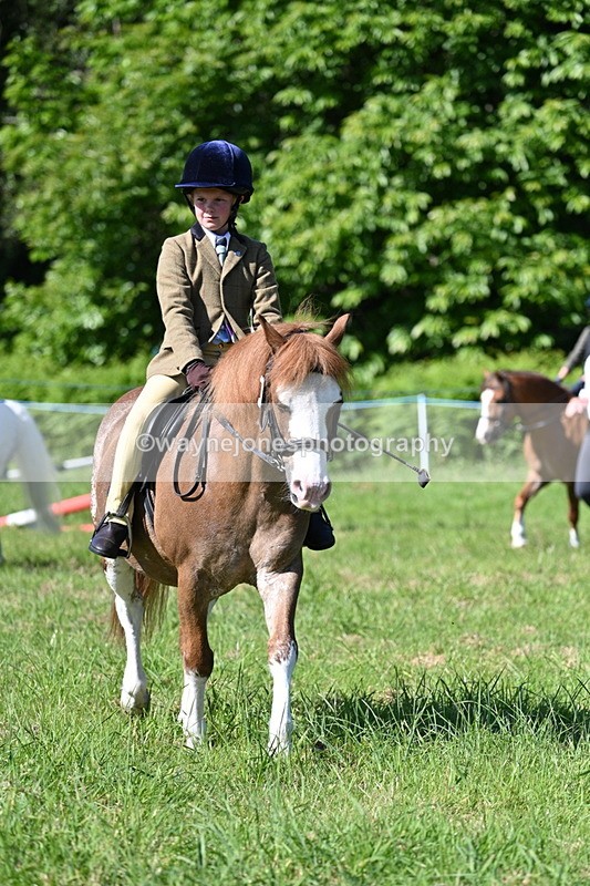 WJ7_0361 - Class 8 First Rally Pony