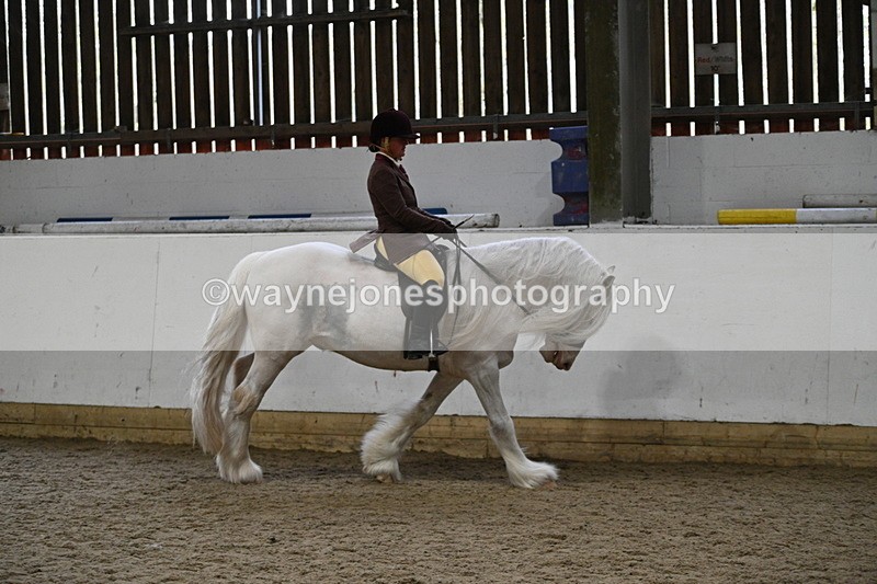 WJ7_3857 - Class 17 Ridden Cob