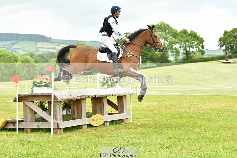 250524A-160748-14740 - C-258-Bill.Levett-ITALIAN.HARLEQUIN.NJ