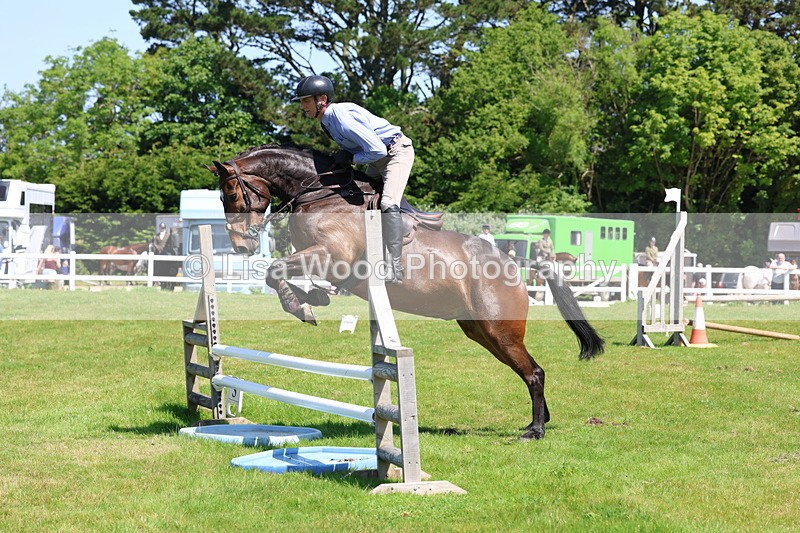 3E7A7033 - Class 30: Novice Working Hunter