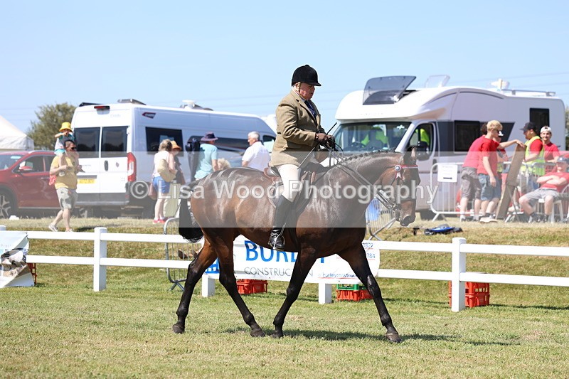 3E7A7673 - Class 7: Open Riding Horse