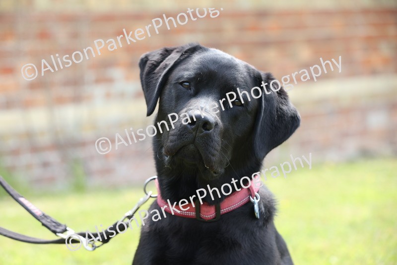 20250607-0004 - Misc