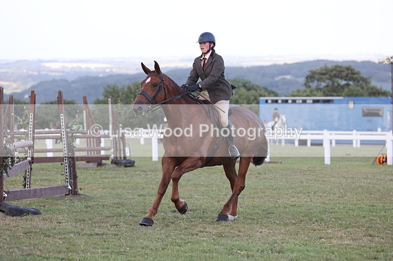 JPP_3664 - Class 24: Open Working Hunter