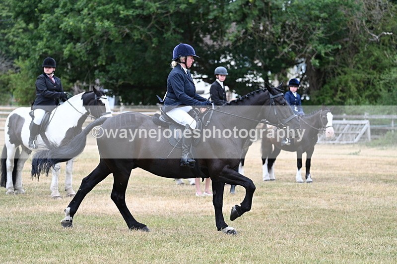 WJ7_1163 - Class 3 Family Mount