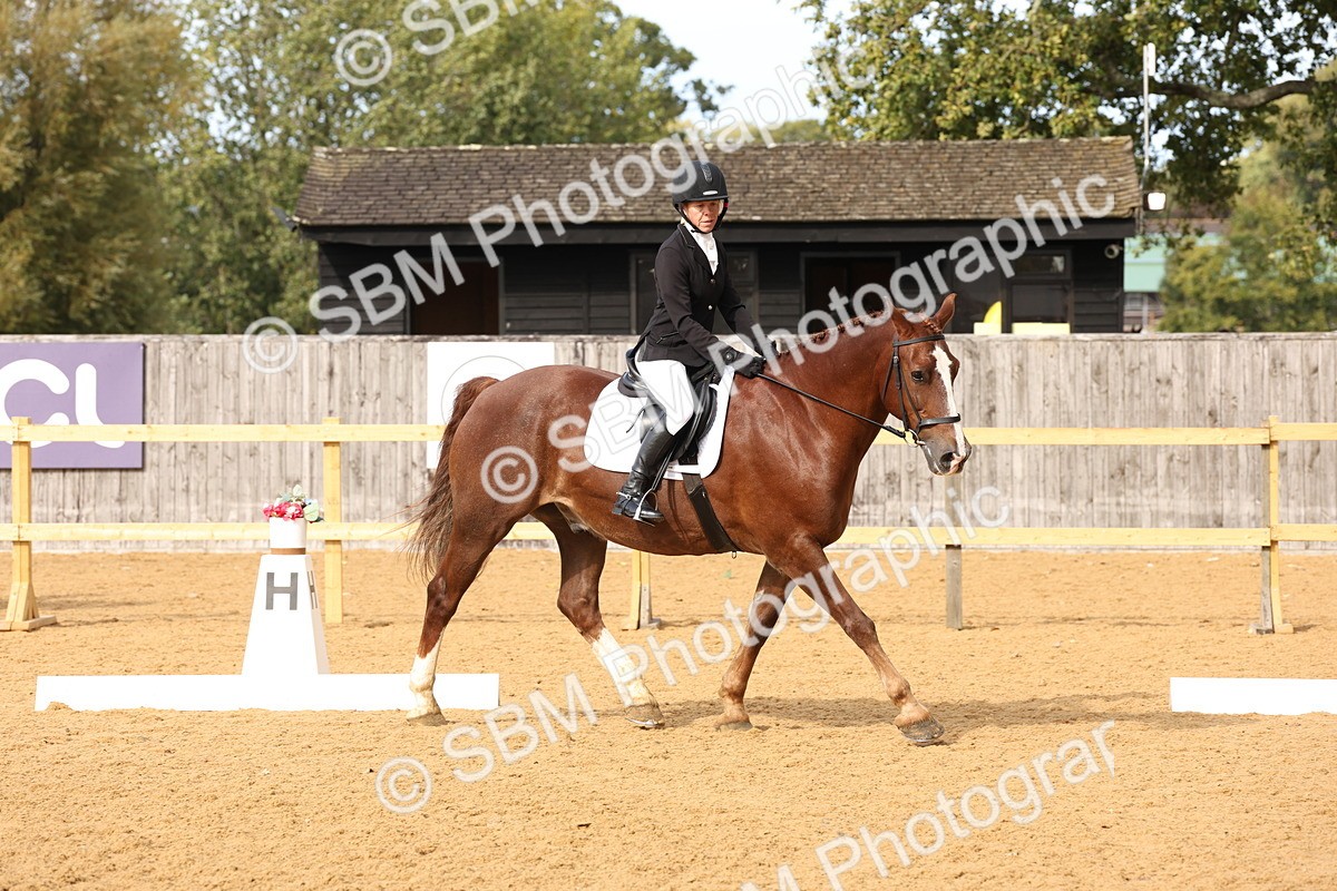 SBM_10591 - D9 - Small Tour Championship Prelim 3