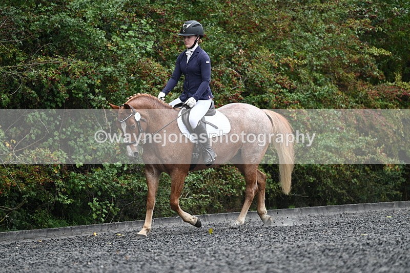 WJ7_3674 - Time 11:04 to 11:38