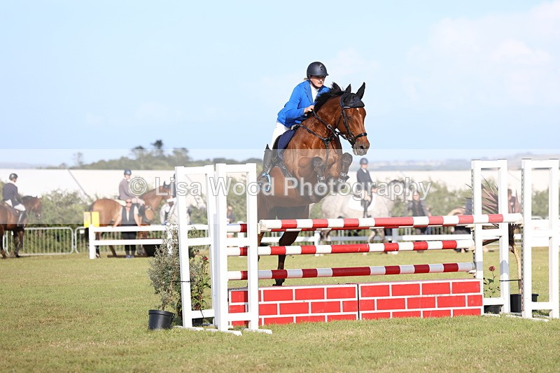 3E7A4374 - Class C: Showjumping Senior Foxhunter