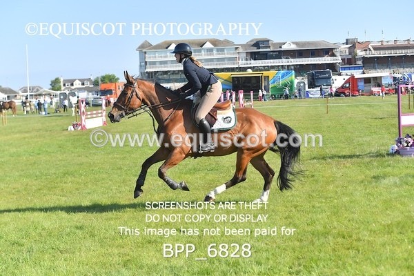 BPP_6828 - CLASS 1 Senior Newcomers/ 1.10m Open