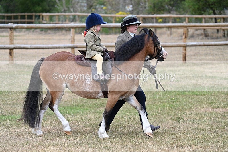 WJ7_9642 - Class 1 Lead Rein Pony