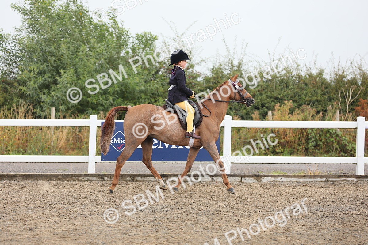 SBM_21721 - Class 806 - Young ridder 10 Yr & Under