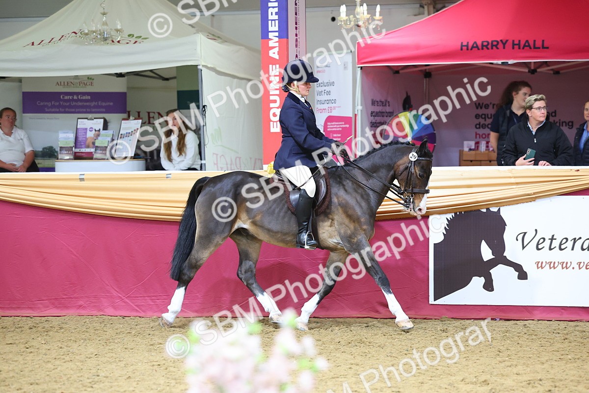 SBM_23643 - Class 904 - Supreme Final Ridden Diamond