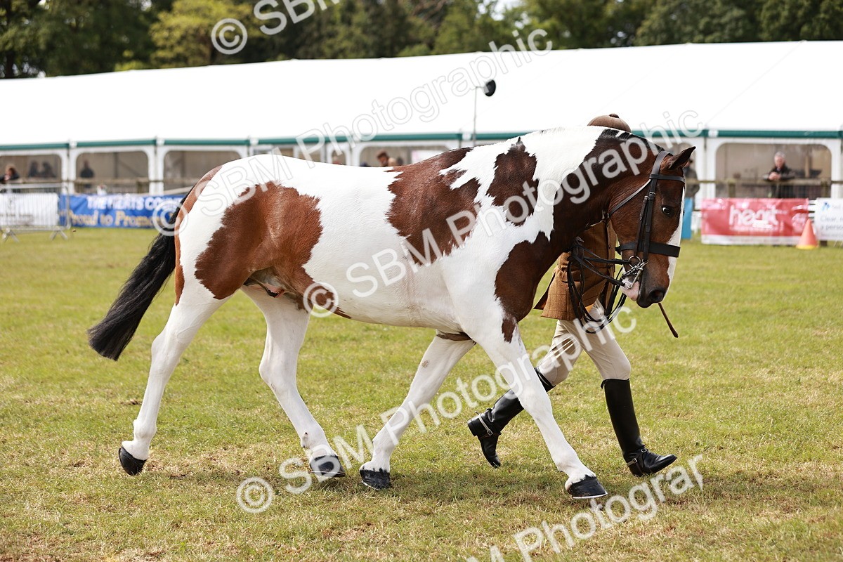 SBM_14058 - Class 85-87 - RIHS Cobs