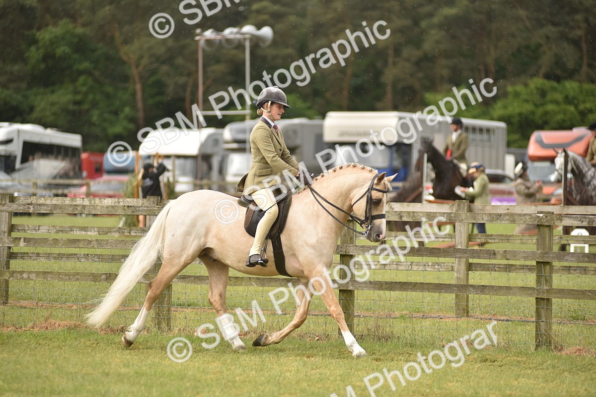 SBM_12099 - Class 110-112 - LIHS BSPS Performance Pones