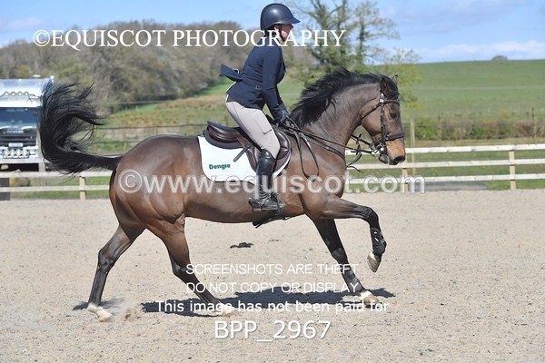 BPP_2967 - CLASS 12 BritiNovice/ 90cm Open