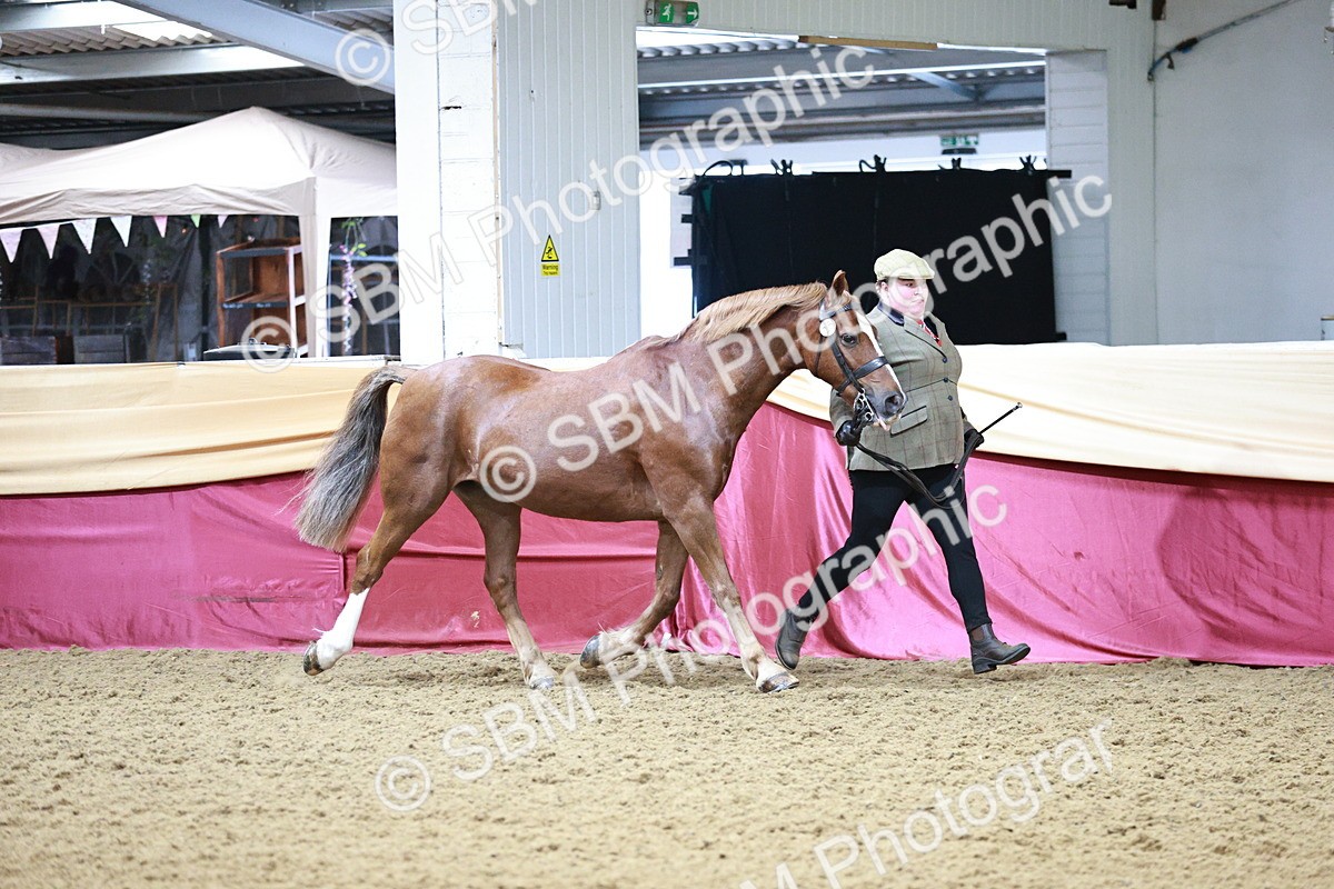 SBM_00195 - Class 1A - Area IH Diamond
