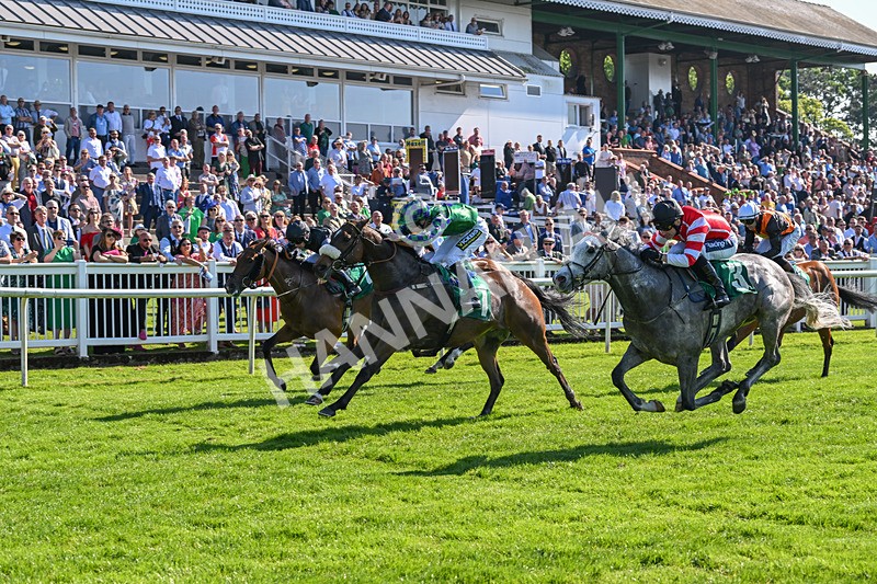 180524-Race 5-Tinto-9706 - Race 5