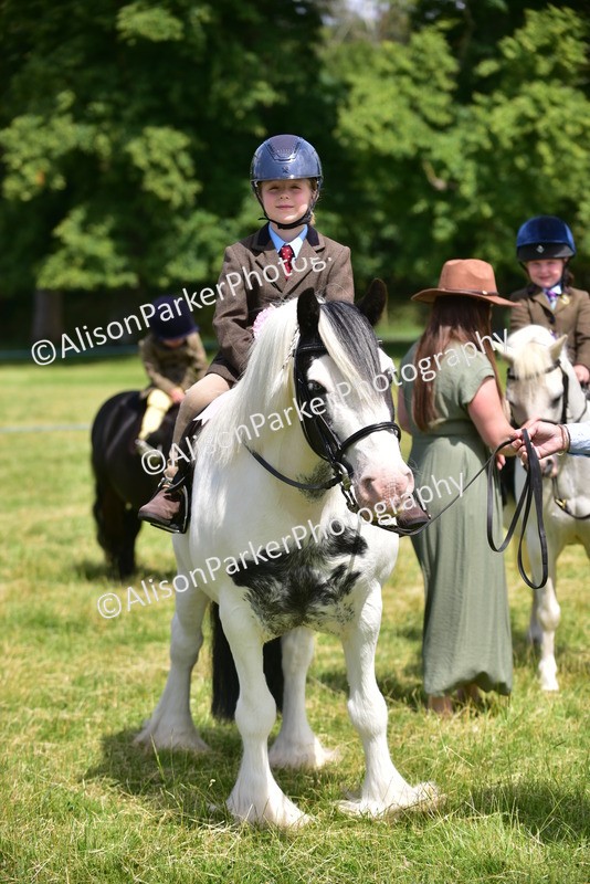 20260614-1306 - Class 11a - Lead Rein Pony (Unplaited)