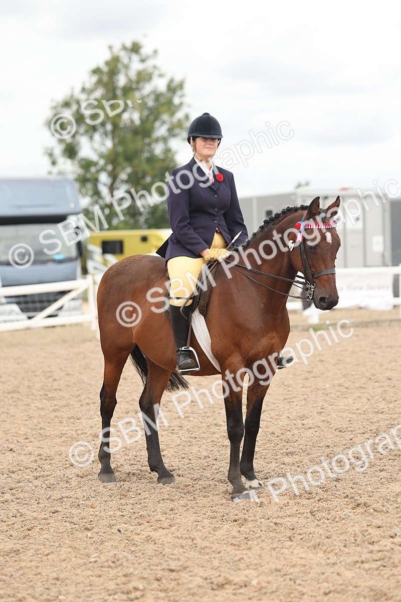 SBM_16027 - Class 311 - Ridden Show pony-Show hunter Pony