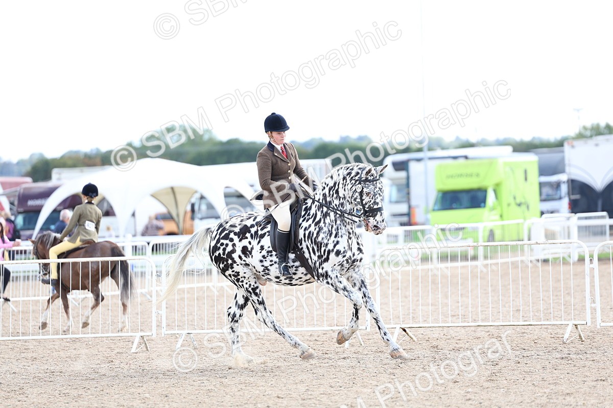 SBM_17244 - Class 315 - Best Horse - Rider Combination