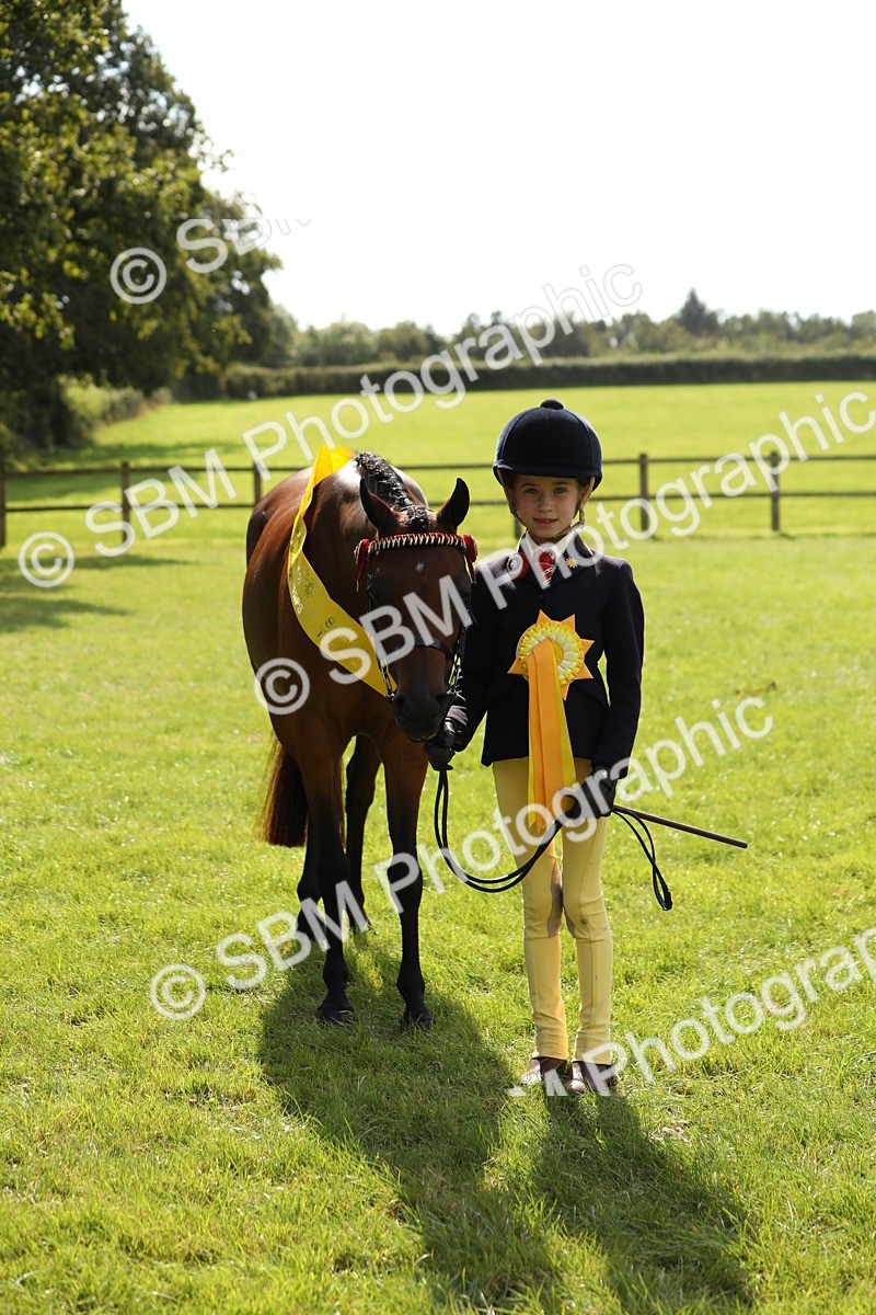 SBM_65611 - S48 - Show Pony & Show Hunter Pony In Hand