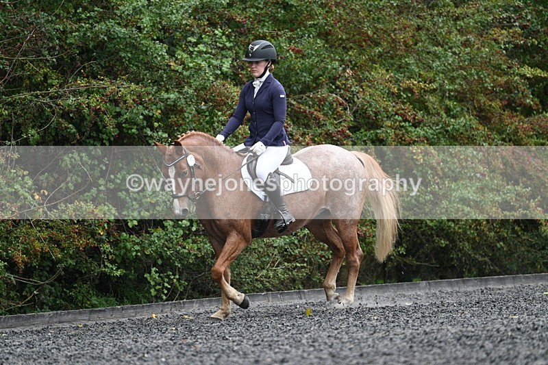 WJ7_3675 - Time 11:04 to 11:38