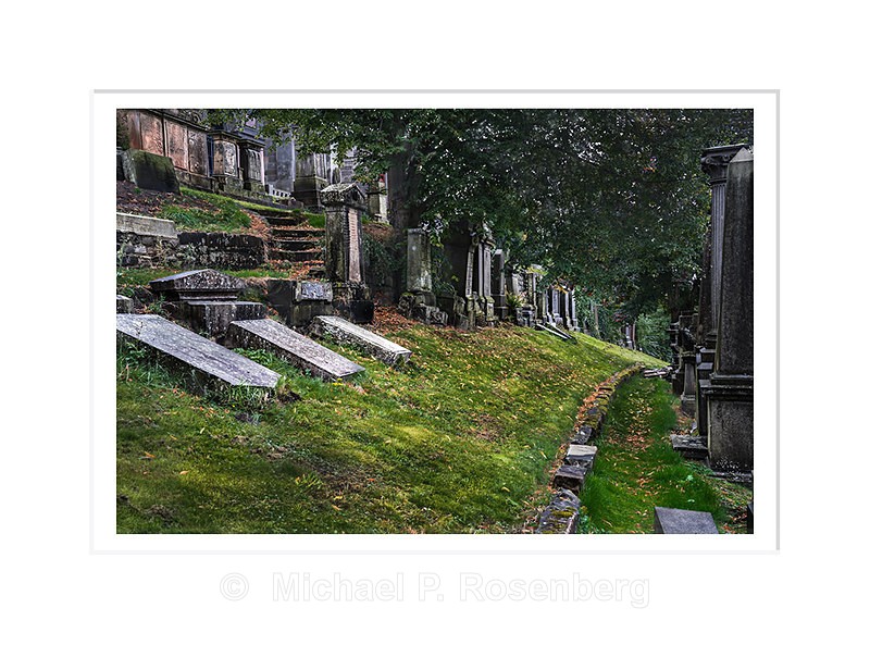 Dreaming of Green Fields Everywhere, Necropolis, Glasgow Scotlan - Scotland, UK
