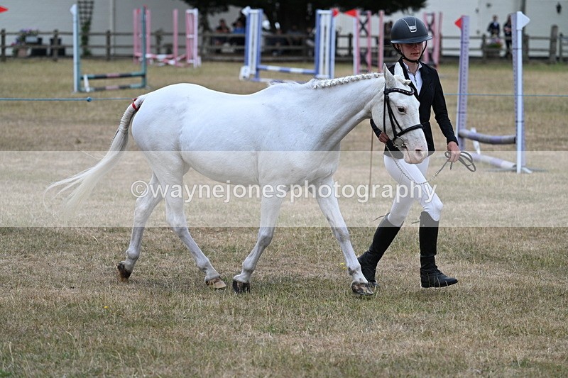 WJ7_8322 - Class 4 Prettiest Mare up to 14.2hh