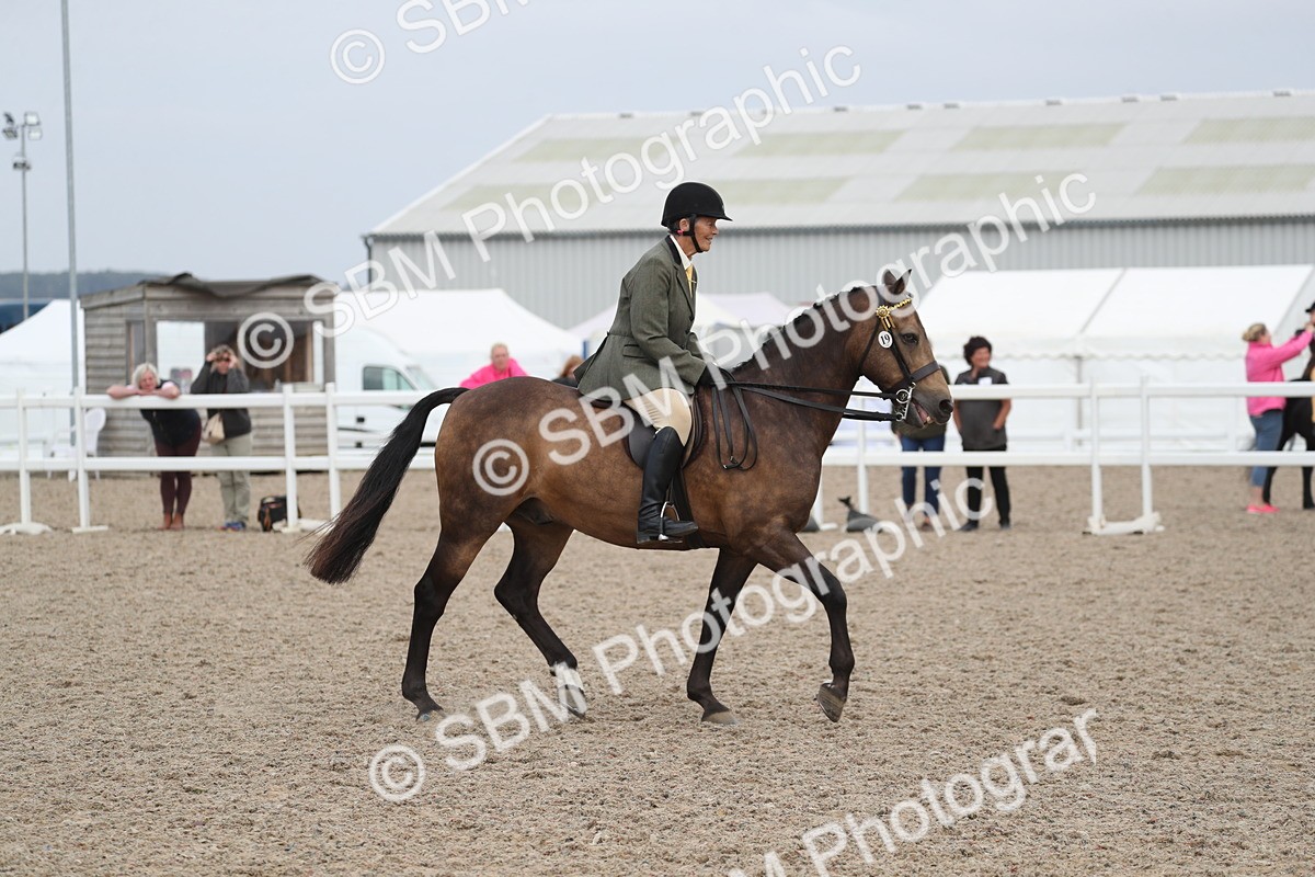 SBM_17390 - Class 315 Best Horse/Rider Combination