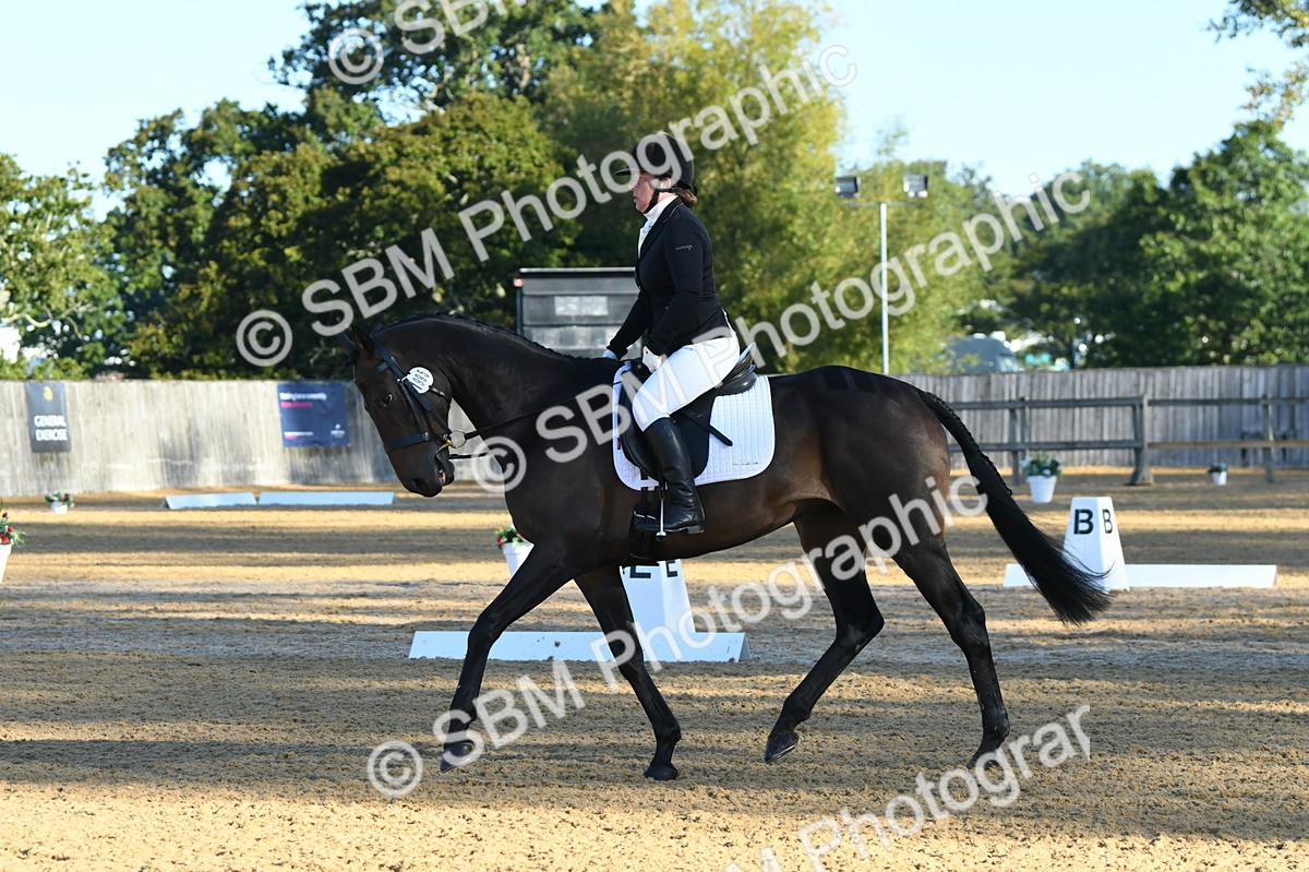 SBM_14410 - D4 - Small Tour Championship - Intro B