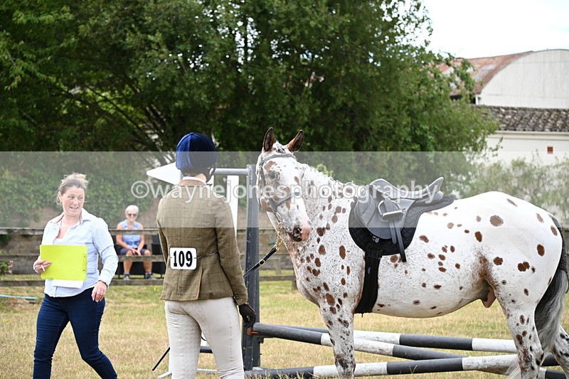 WJ6_3841 - Class 9 Tack & Turnout