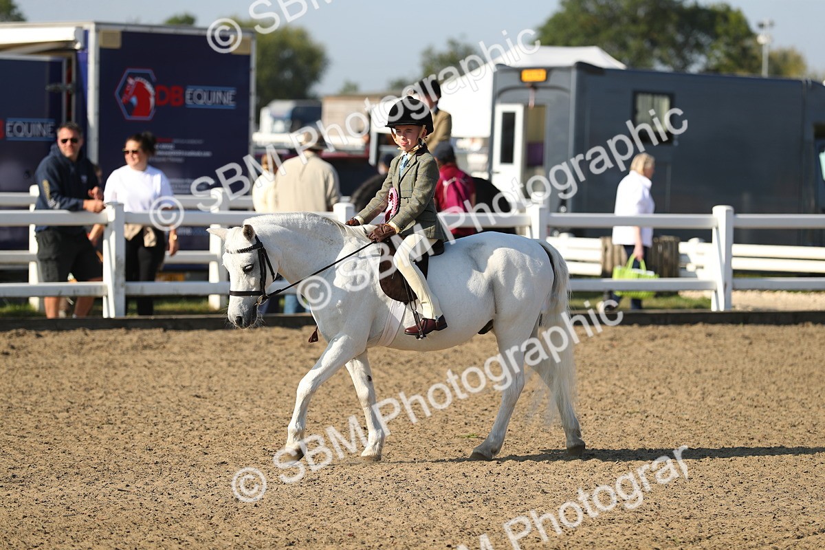 SBM_00504 - Class 41 Best Turned Out Ridden