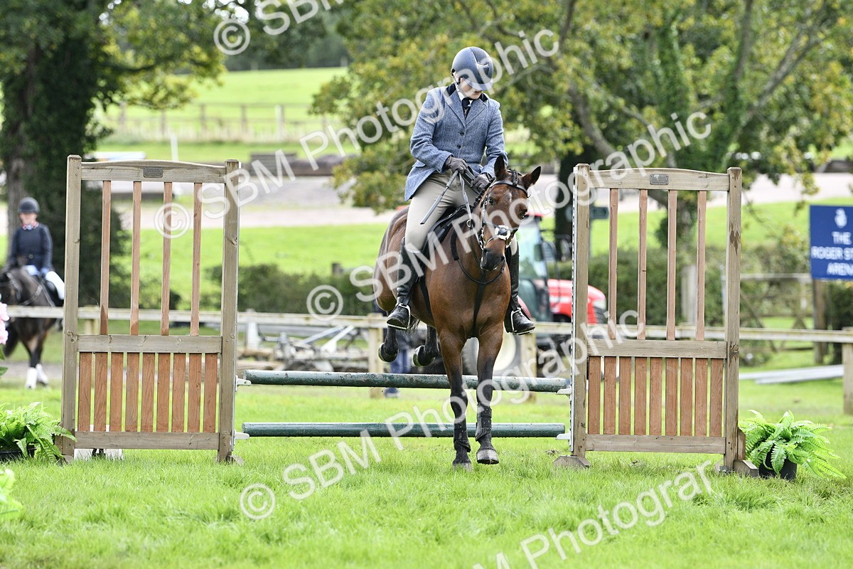 SBM_45623 - S33 - Working Hunter Pony
