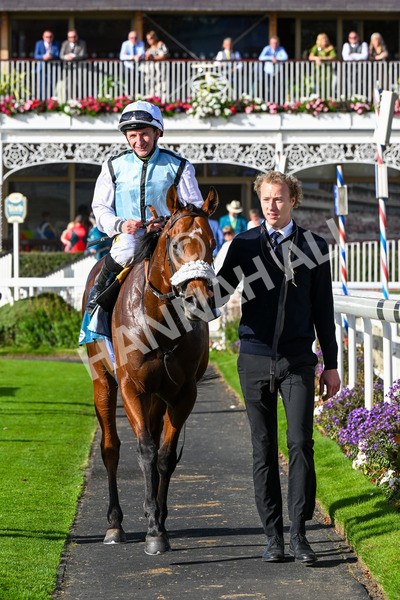 111025-Race 3-Laazm-0372 - Race 3 Coral 'Daily Reward Shaker' For Free Nursery Handicap at York